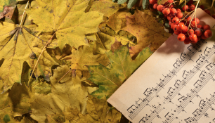 Set the STAge This Thanksgiving